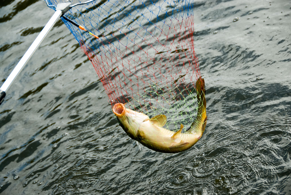 Caccia e pesca sul lago Seliger